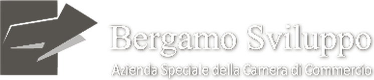 Bergamo Sviluppo